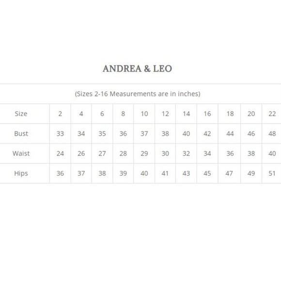 NEW LONG OFF THE SHOULDER STRAPLESS TULLE DRESS WITH REMOVABLE SLEEVES AL A1133 - Picture 3 of 11